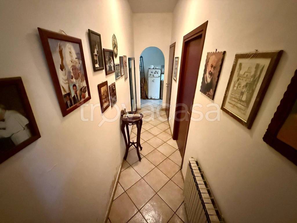 immagine annuncio 5 di 12