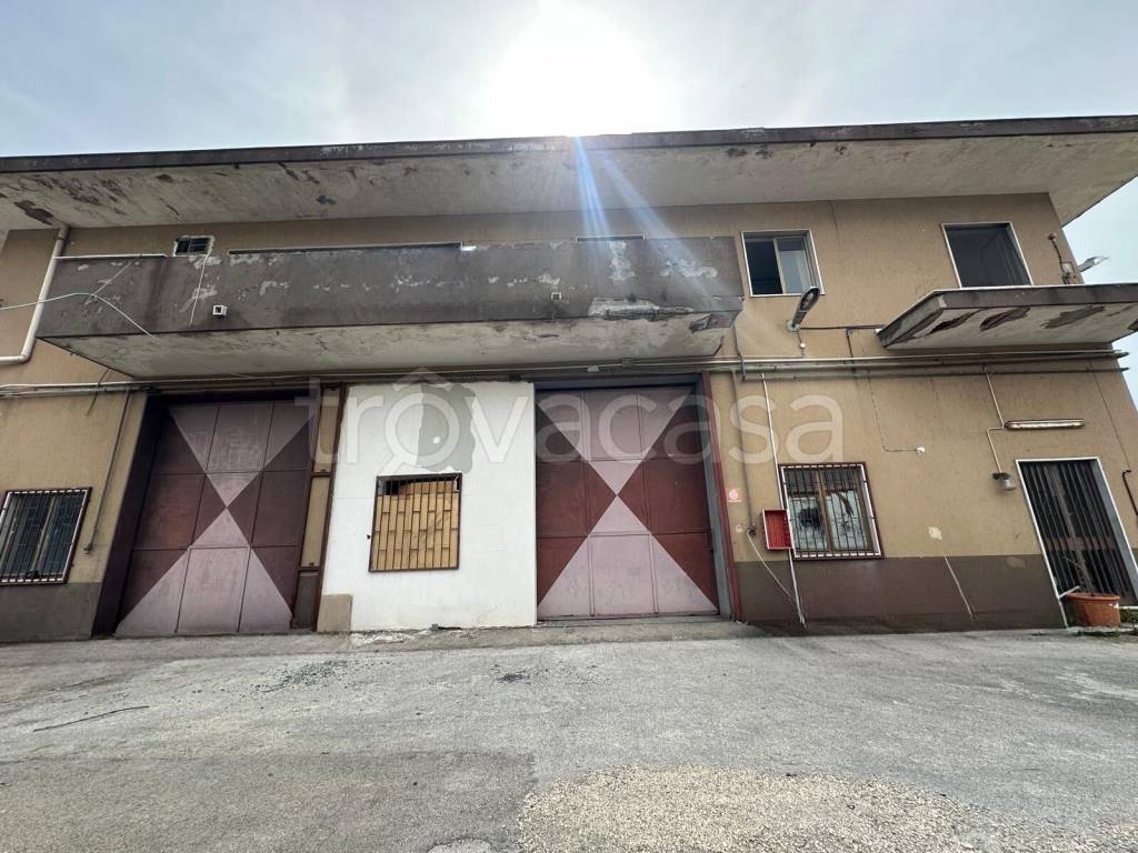 immagine annuncio 1 di 9