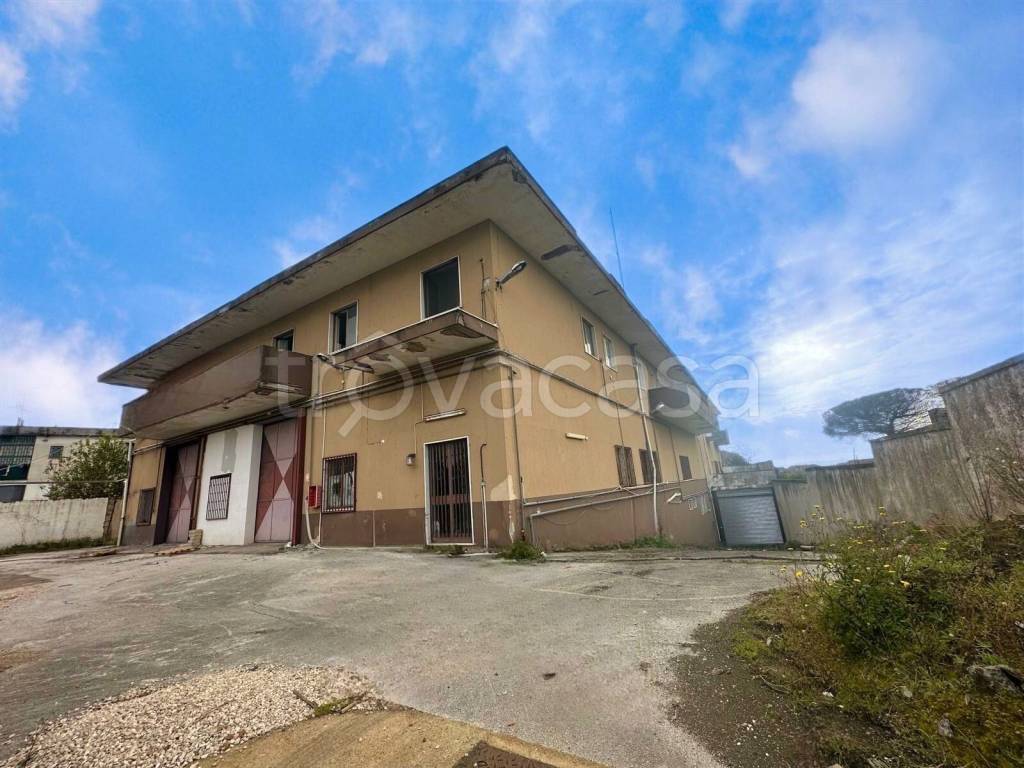 immagine annuncio 3 di 9