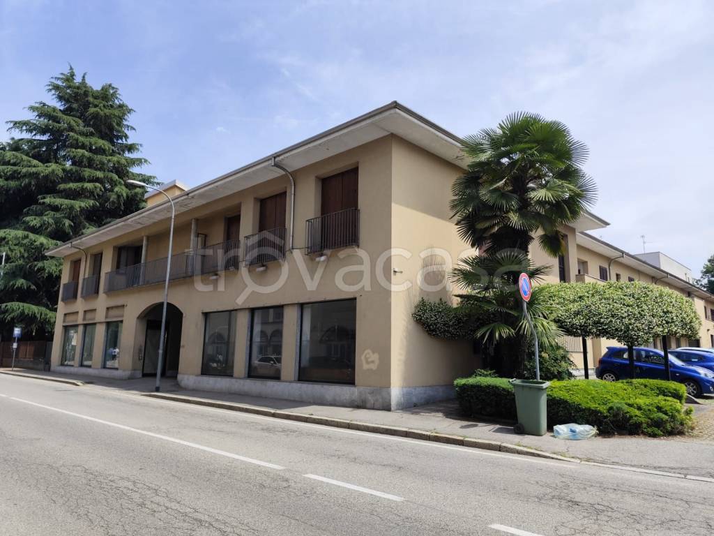 immagine annuncio 2 di 8