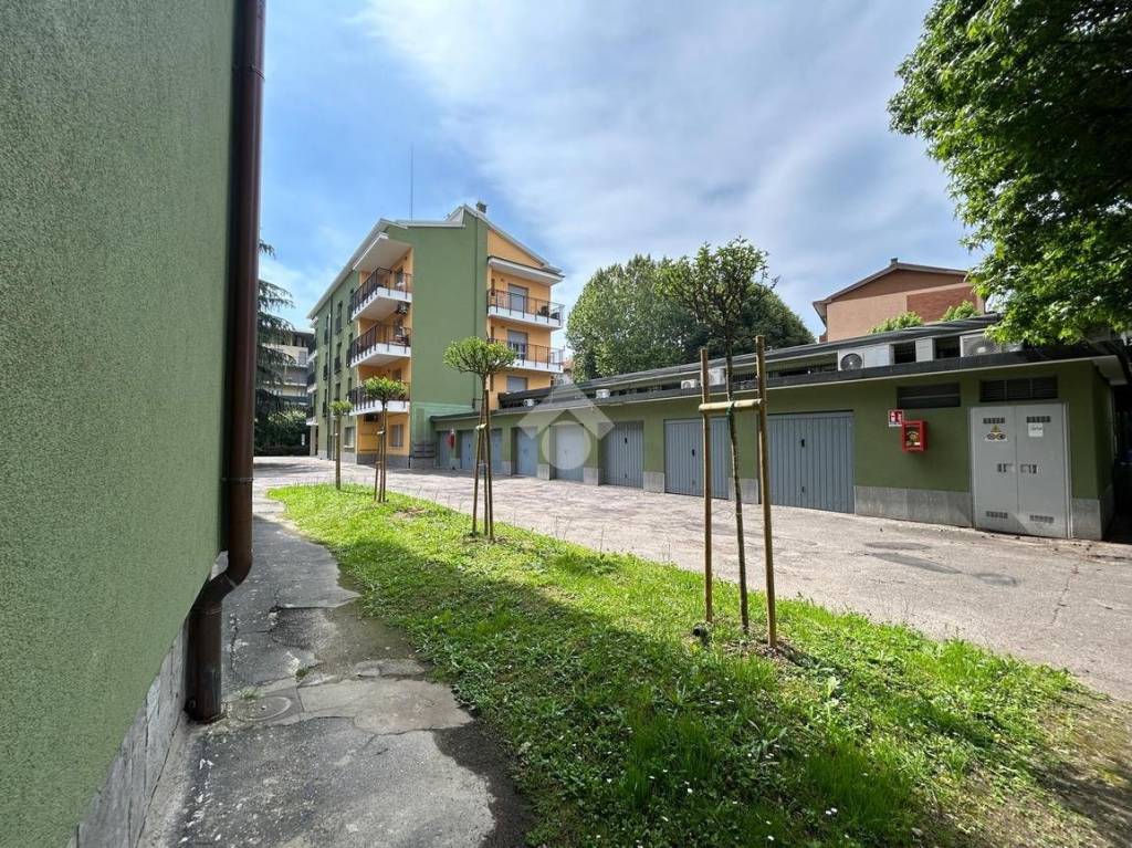 immagine annuncio 3 di 15