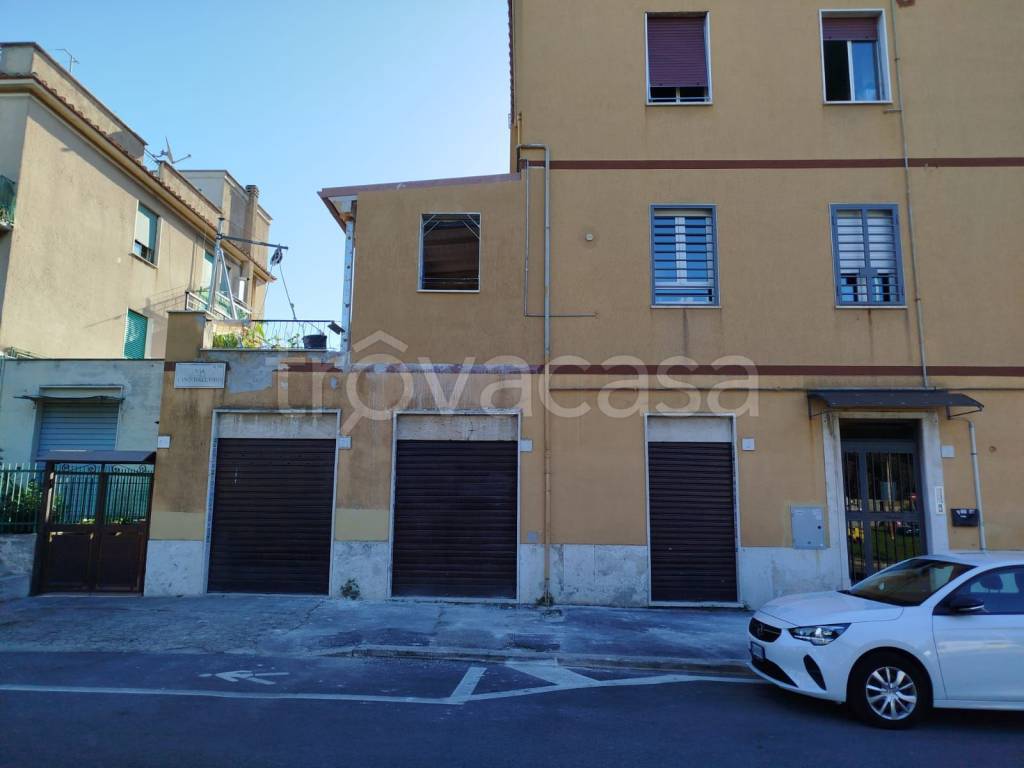 immagine annuncio 2 di 12