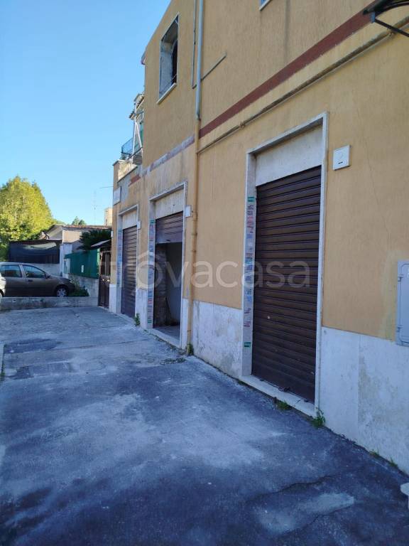 immagine annuncio 3 di 12