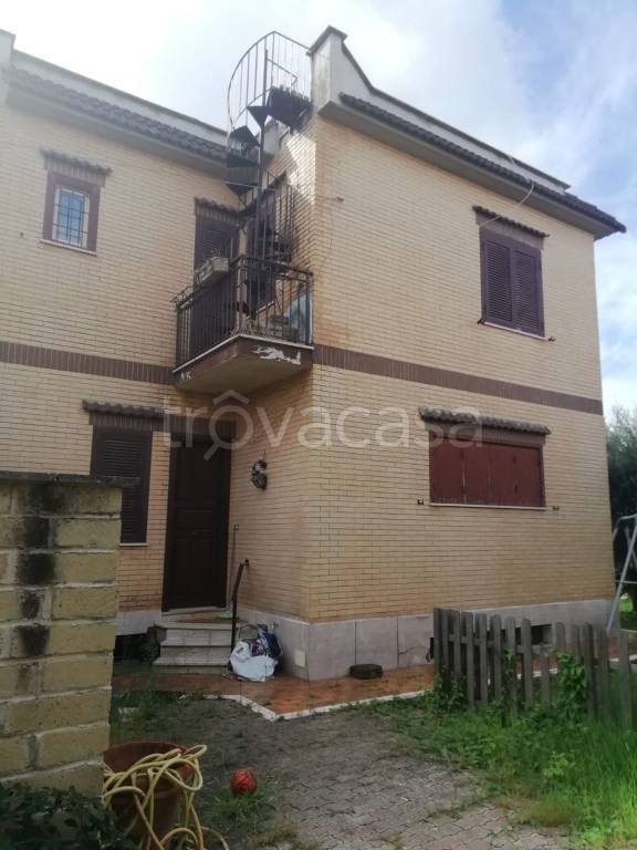immagine annuncio 5 di 12