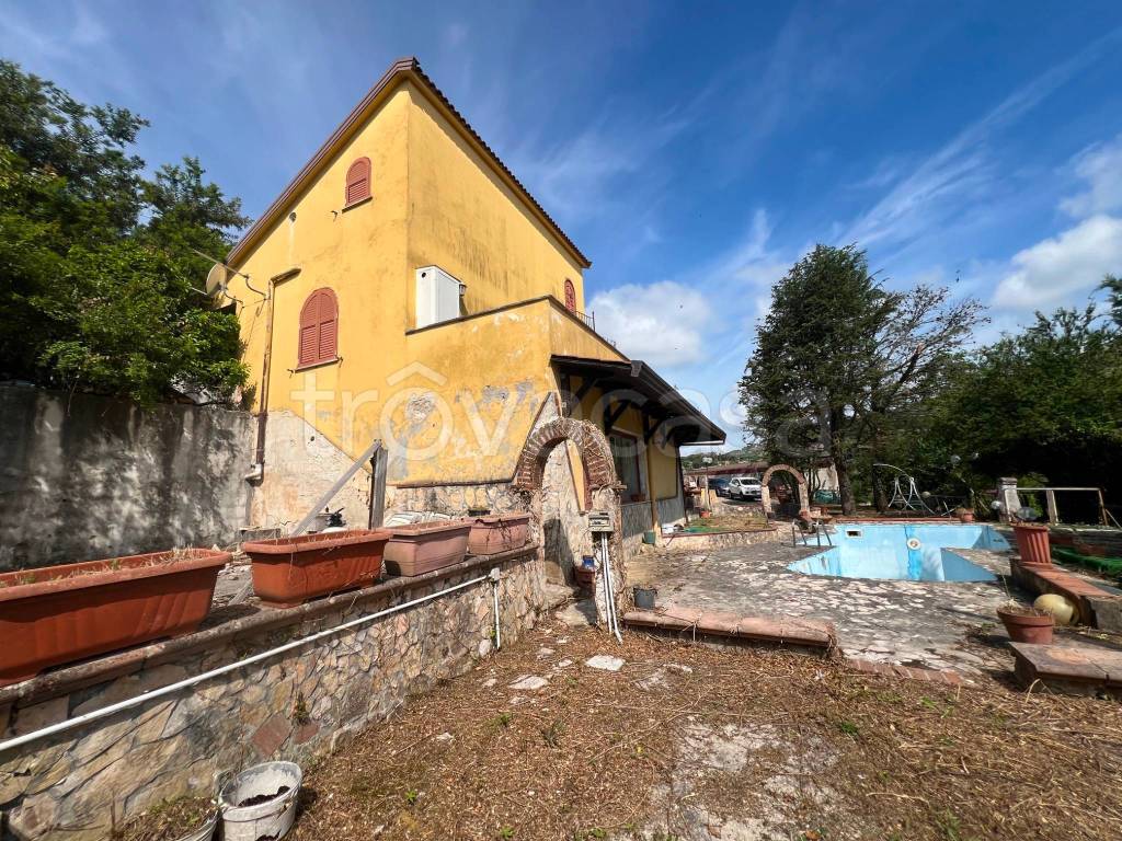immagine annuncio 5 di 8