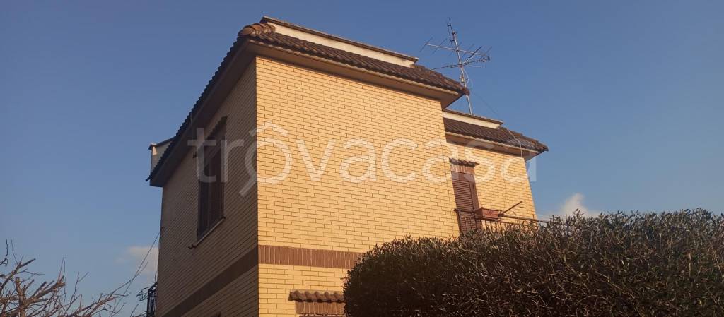 immagine annuncio 4 di 12