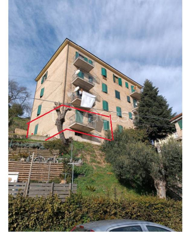 immagine annuncio 3 di 15