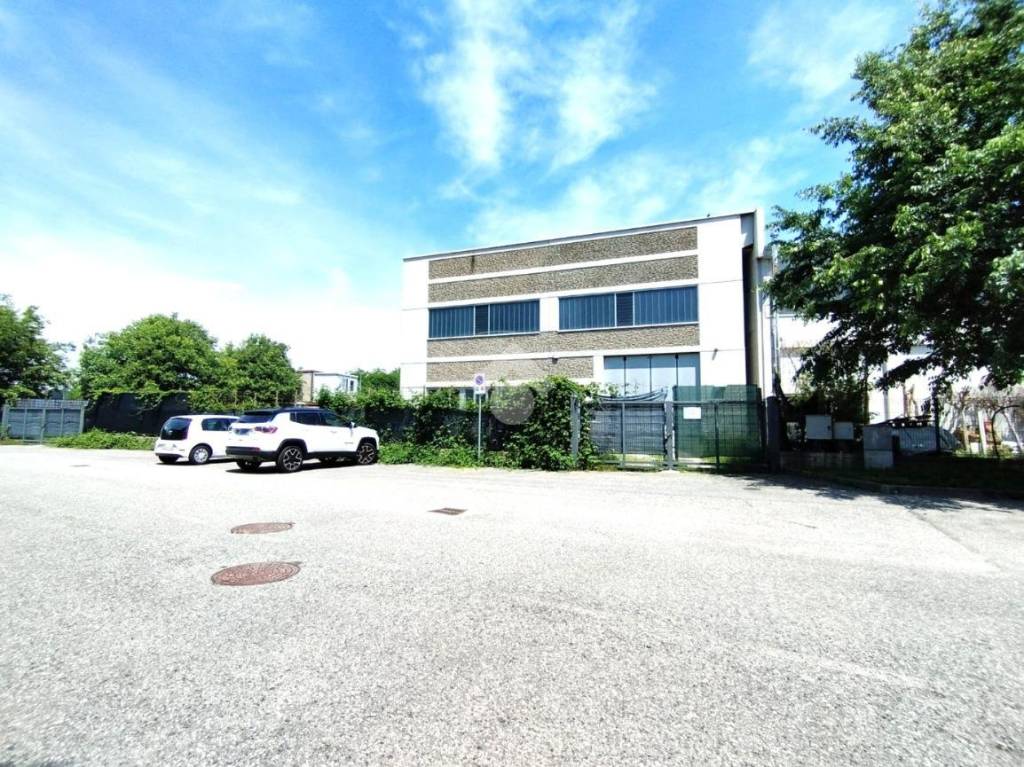 immagine annuncio 1 di 12