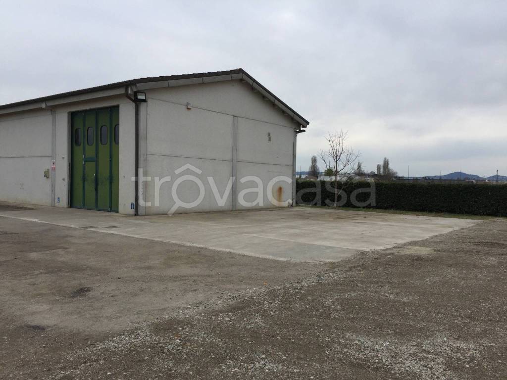 immagine annuncio 2 di 7