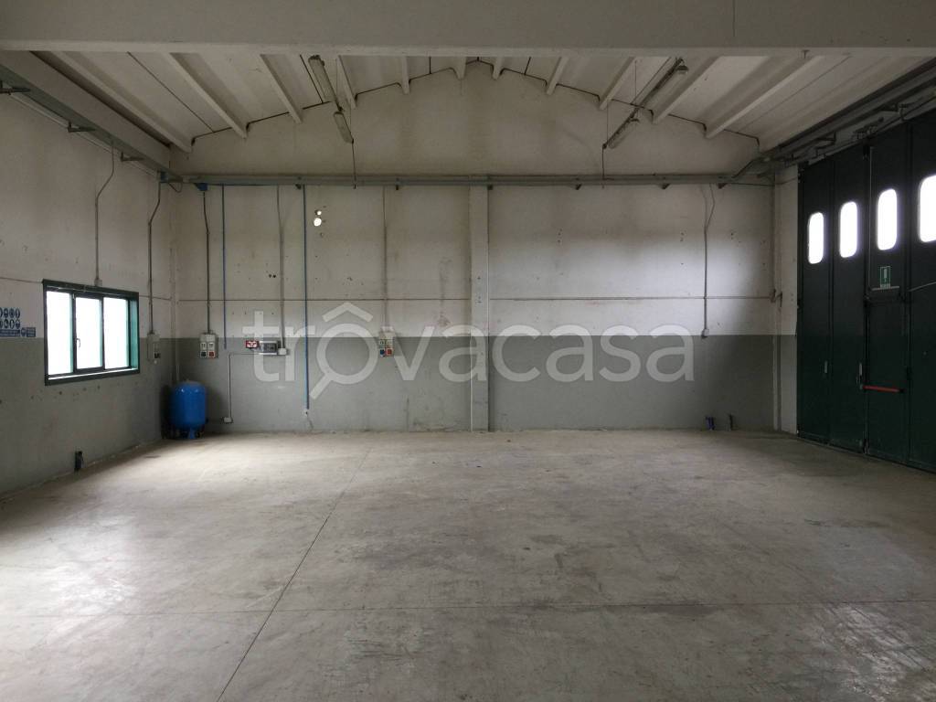 immagine annuncio 3 di 7