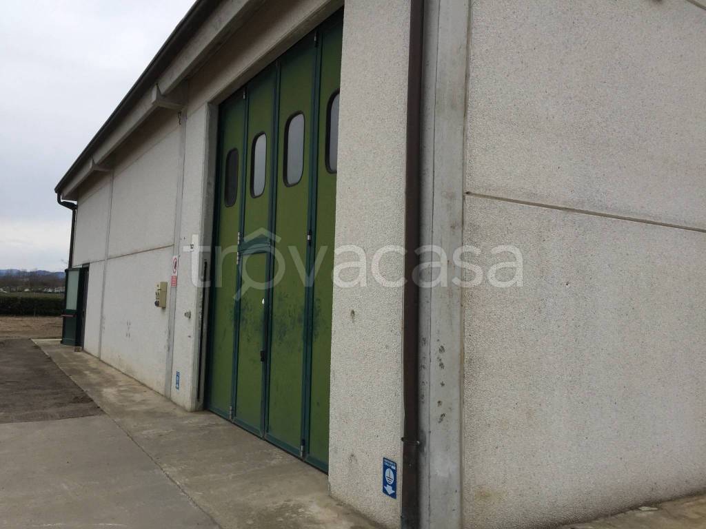 immagine annuncio 4 di 7