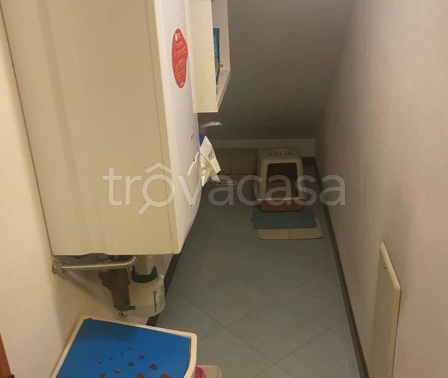 immagine annuncio 11 di 14