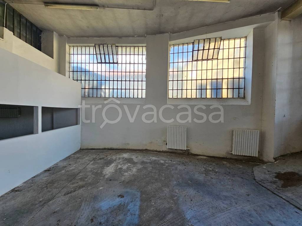 immagine annuncio 7 di 11
