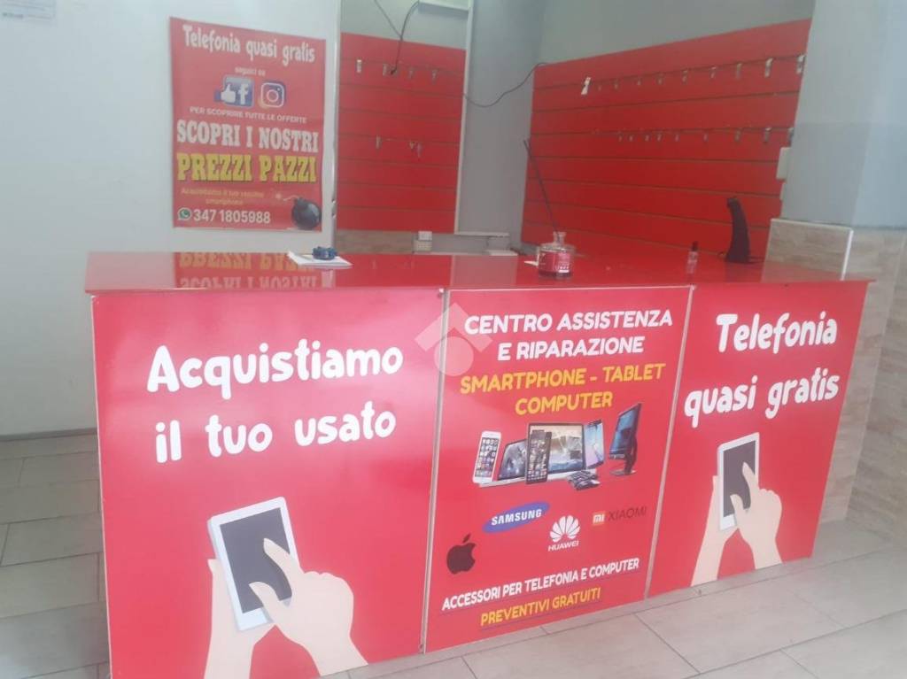 immagine annuncio 3 di 12