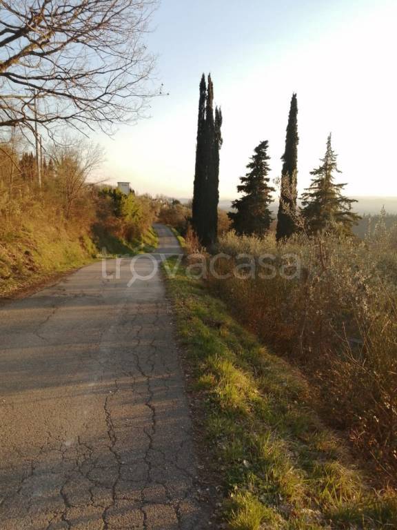 immagine annuncio 4 di 6