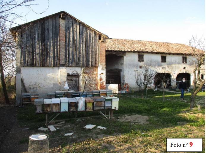 immagine annuncio 4 di 15