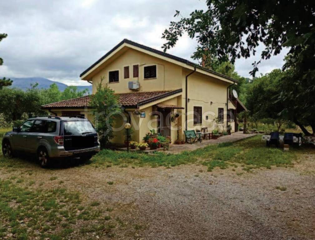 immagine annuncio 6 di 13