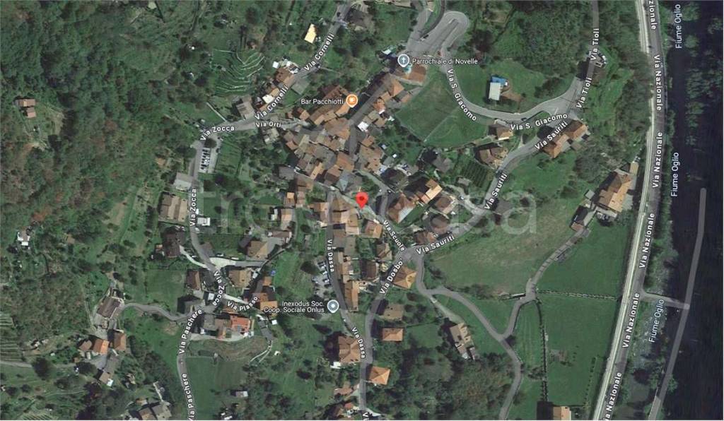 immagine annuncio 1 di 14