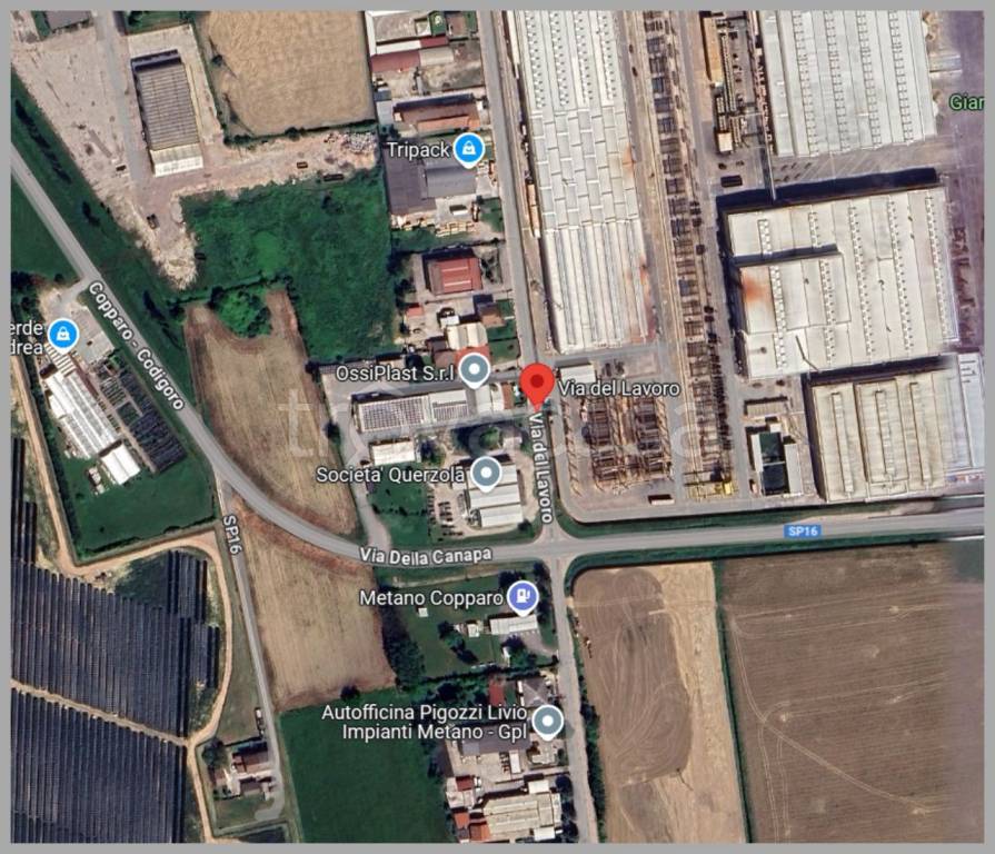 immagine annuncio 9 di 15