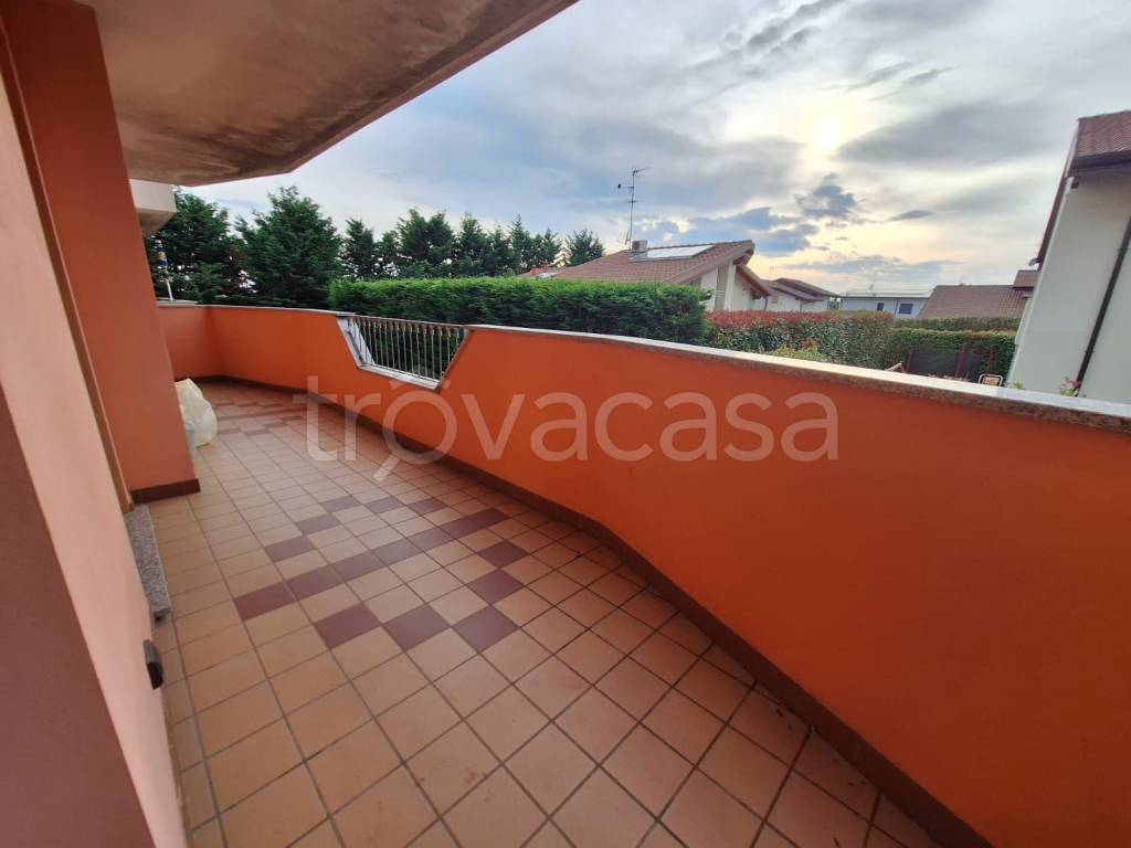 immagine annuncio 7 di 11