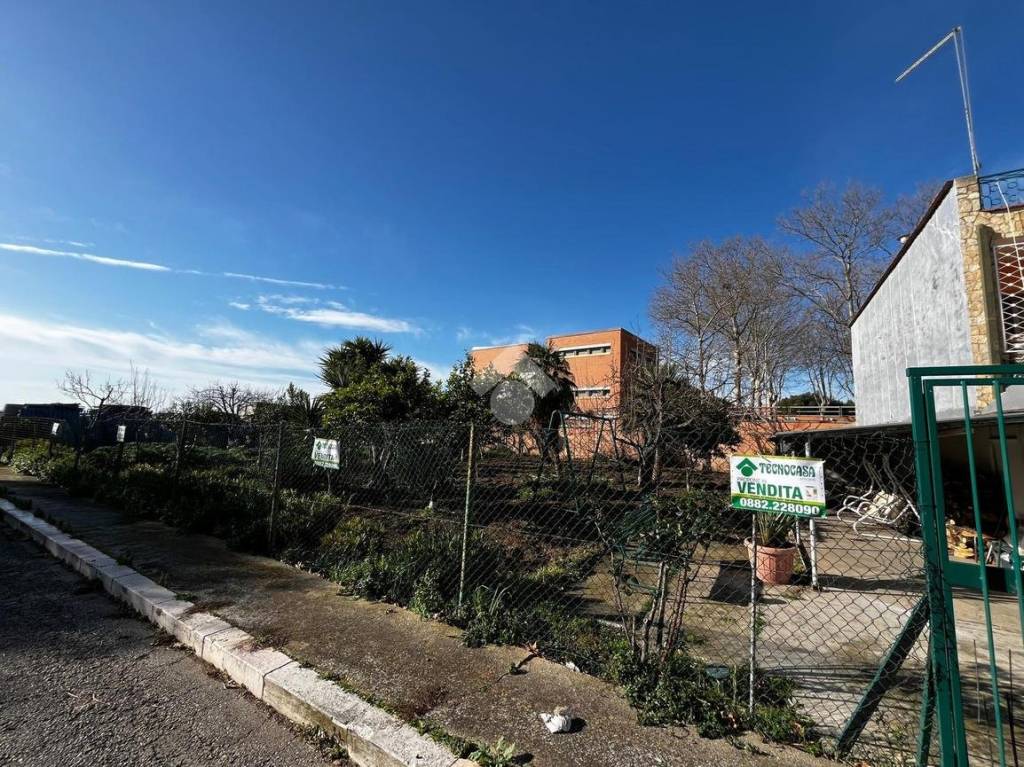 immagine annuncio 3 di 12