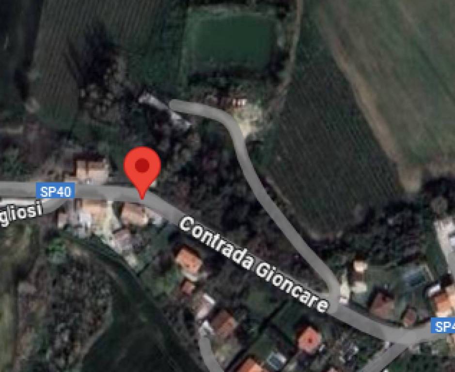 immagine annuncio 9 di 11