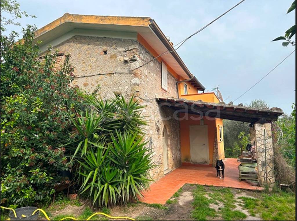 immagine annuncio 9 di 12