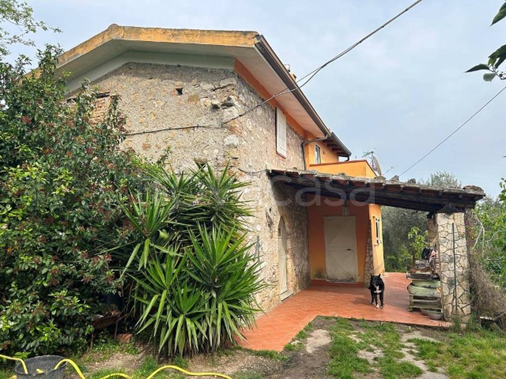 immagine annuncio 11 di 12