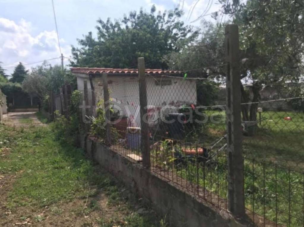 immagine annuncio 2 di 14