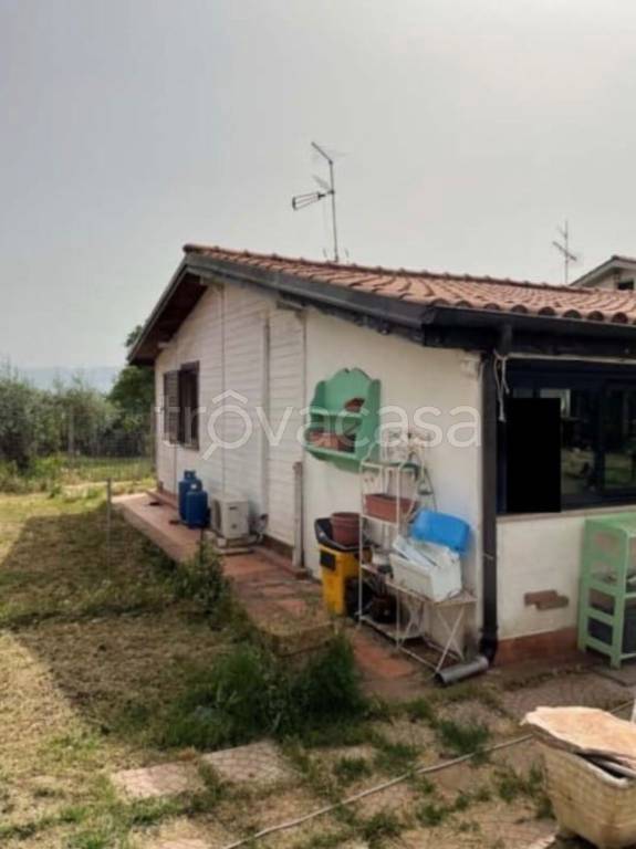 immagine annuncio 11 di 14