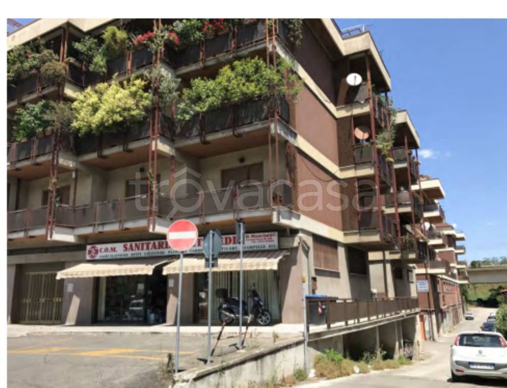 immagine annuncio 3 di 10