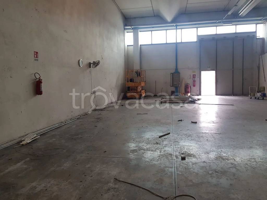 immagine annuncio 3 di 9