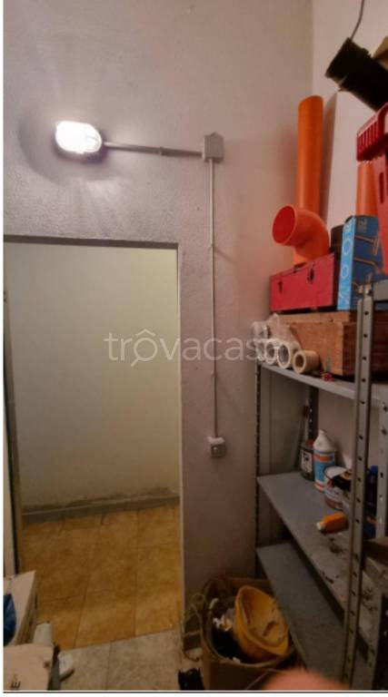 immagine annuncio 3 di 12