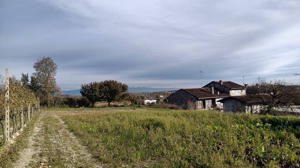 immagine annuncio 8 di 14