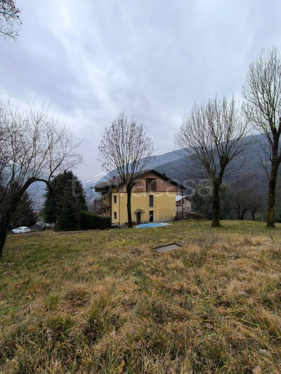 immagine annuncio 3 di 13