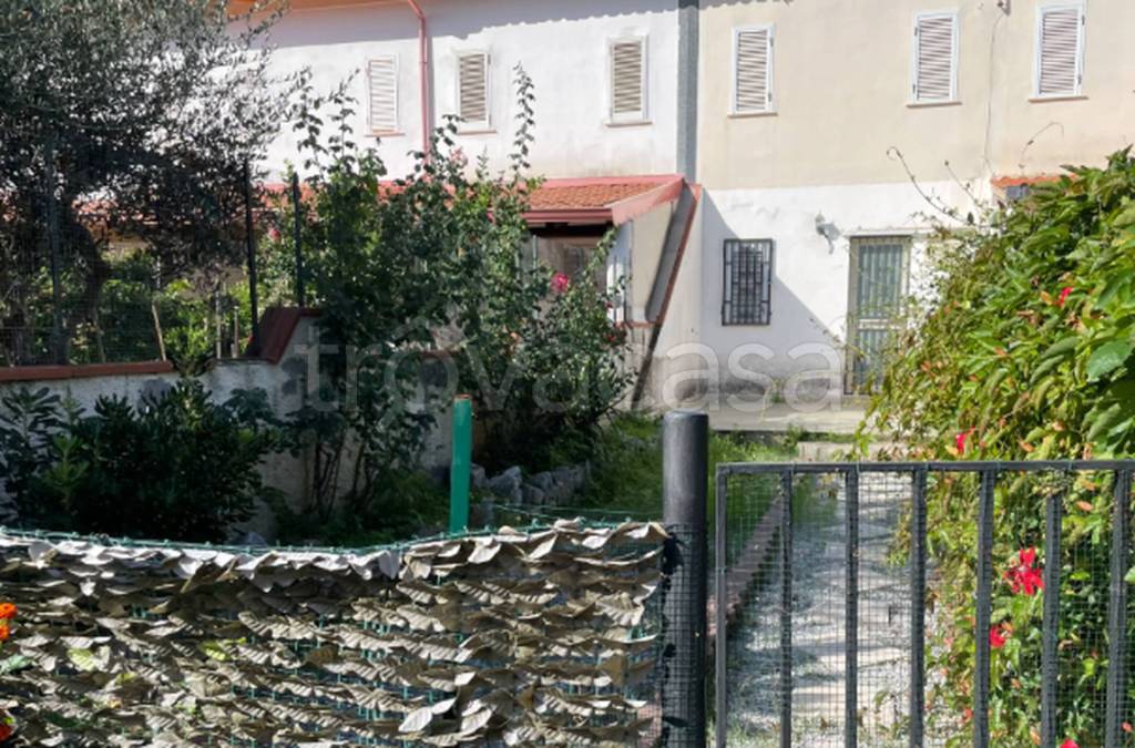 immagine annuncio 9 di 11