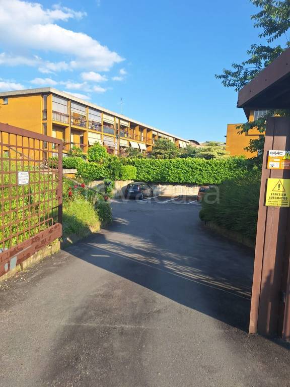 immagine annuncio 9 di 15