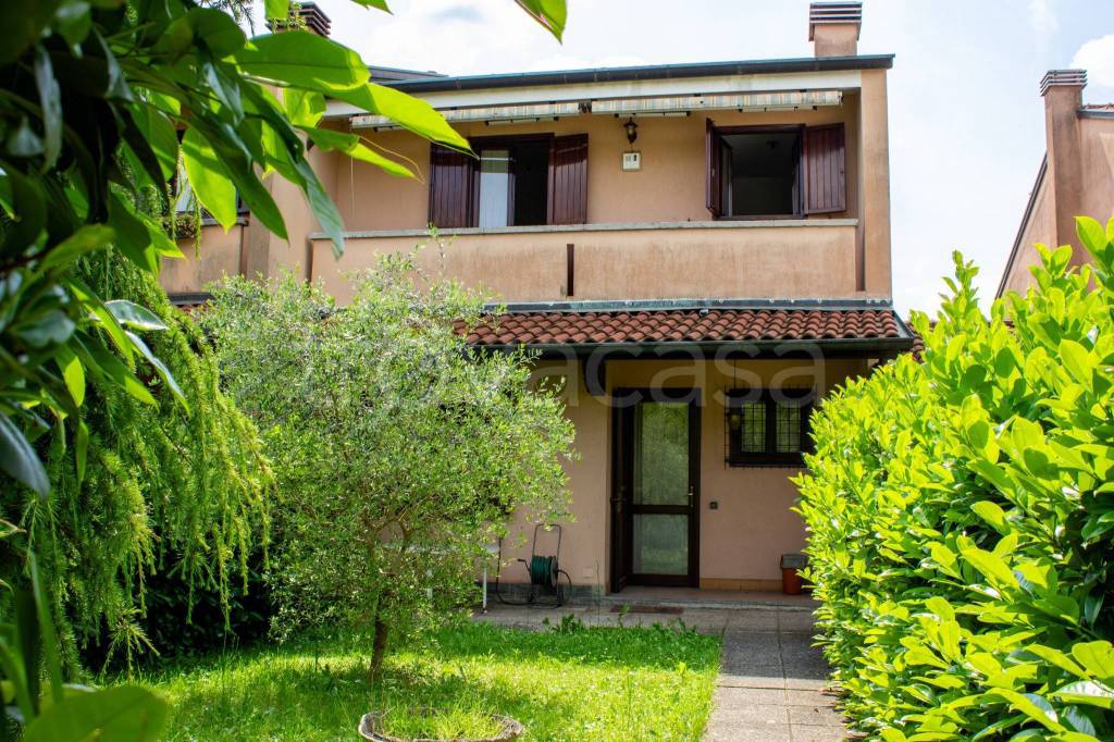 immagine annuncio 3 di 15