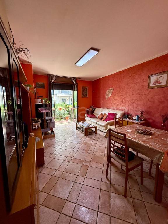 immagine annuncio 5 di 15