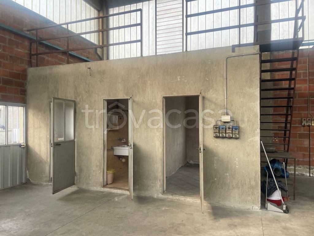 immagine annuncio 5 di 14