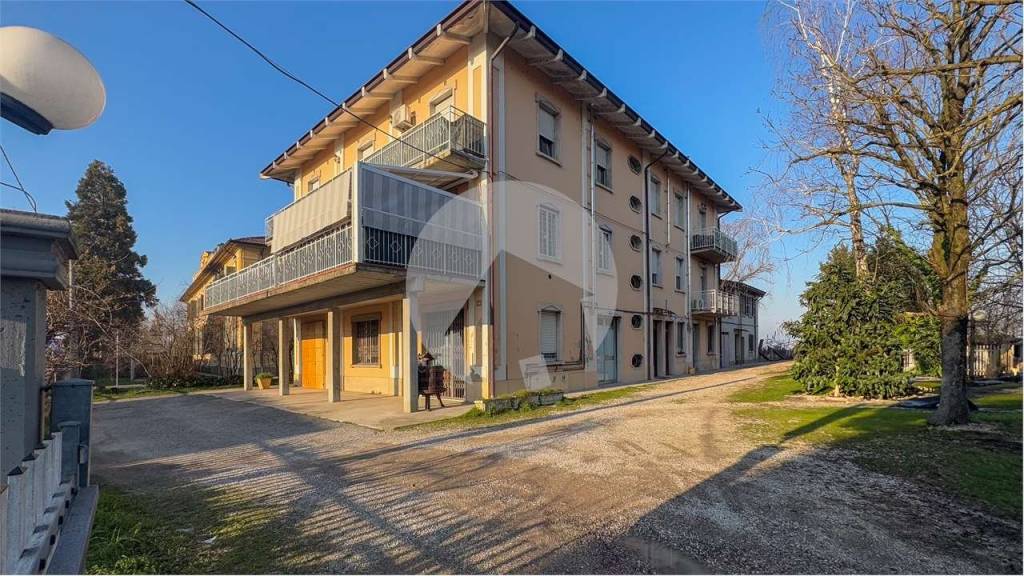 immagine annuncio 5 di 12