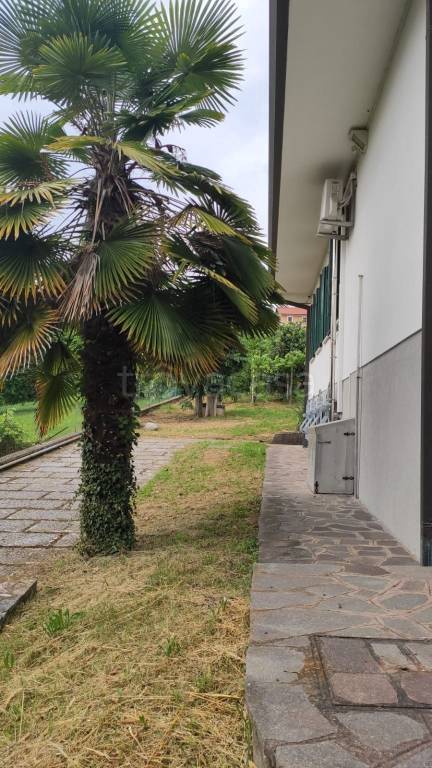 immagine annuncio 4 di 8