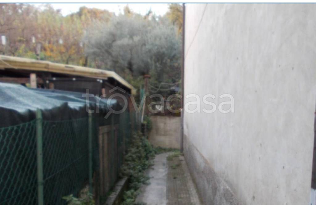 immagine annuncio 5 di 13