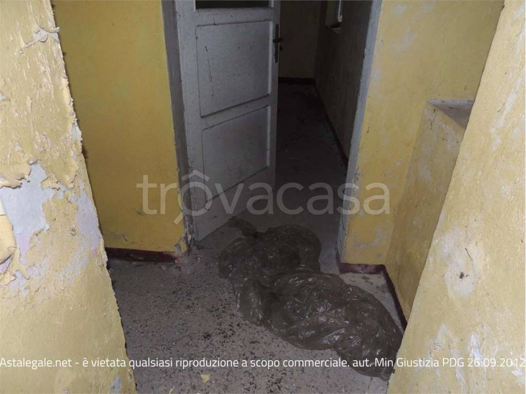 immagine annuncio 6 di 14