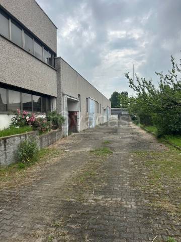 immagine annuncio 2 di 14