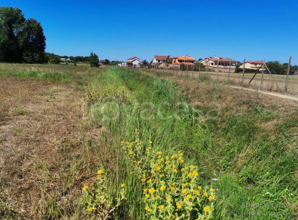 immagine annuncio 2 di 11