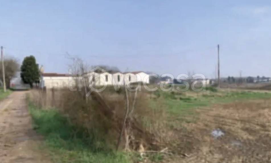 immagine annuncio 3 di 9