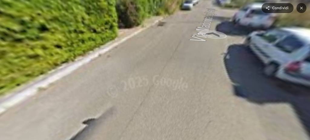 immagine annuncio 11 di 14