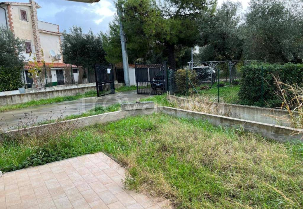 immagine annuncio 2 di 12