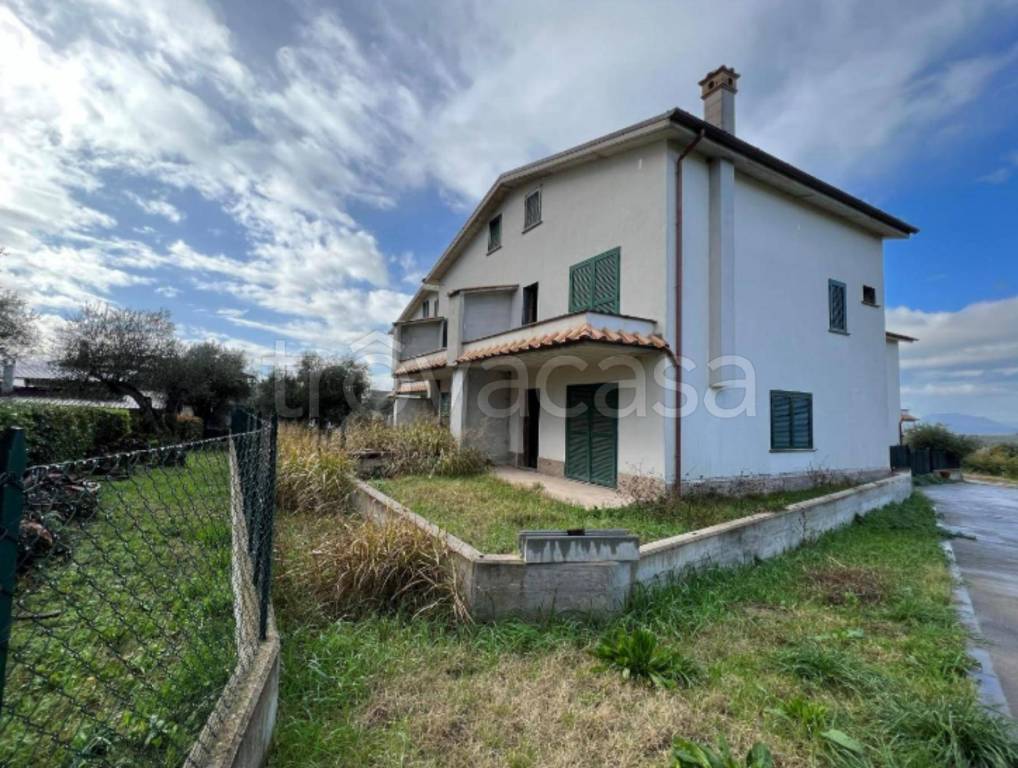immagine annuncio 5 di 12